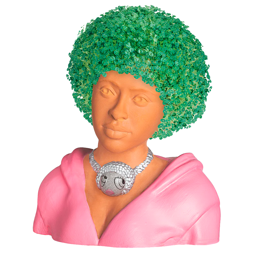 Ice Spice Chia Pet (Exclusive Box) Ice Spice Official Store